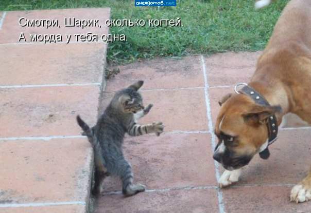 Только попробуй!