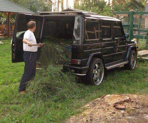 А не простую видать траву заготавливает!?