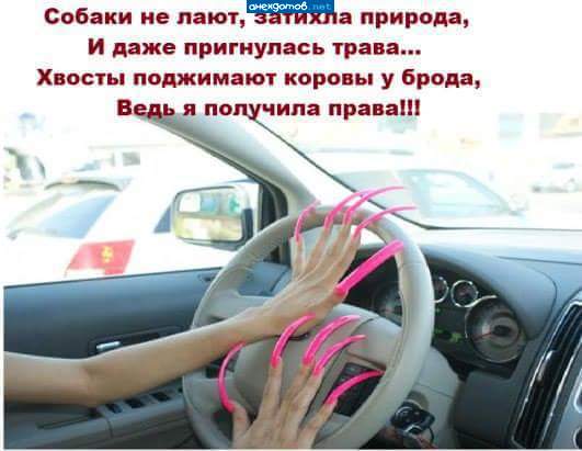А представляете, какие у нее губищи?