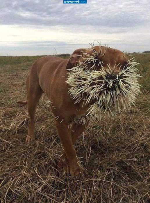 Не смешно!