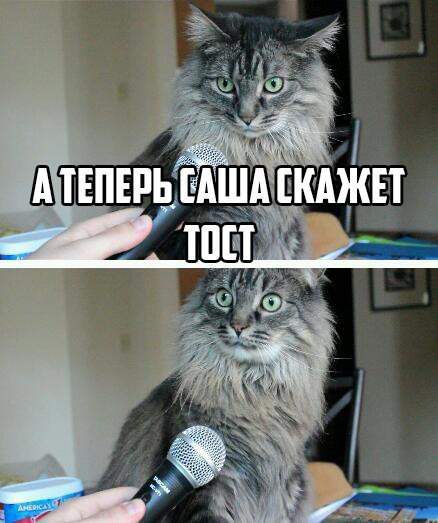 Мляу!