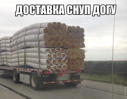 Так вот как выглядят сигареты Прима до сушки!!!