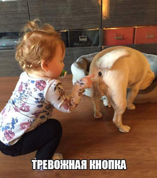 Внимание! ПУСК!
