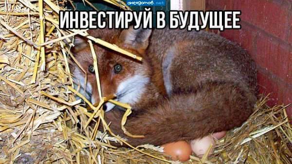 Говорила мне мама- не путайся с Петухами...