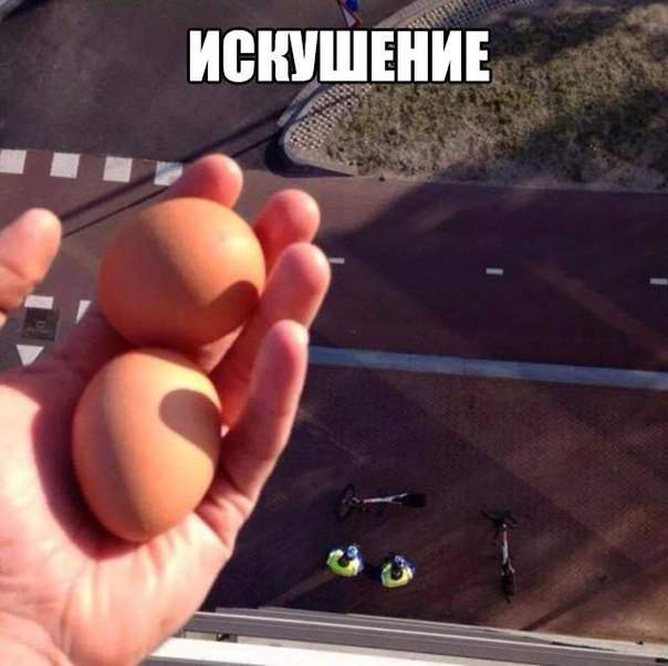 Вечная мужская проблема - что делать с яйцами.