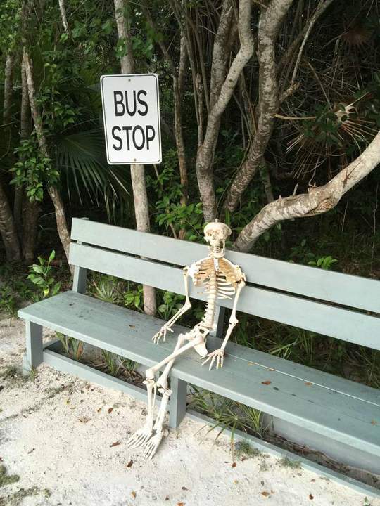 Не дождался...