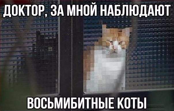 На фотке лучшая подпись!