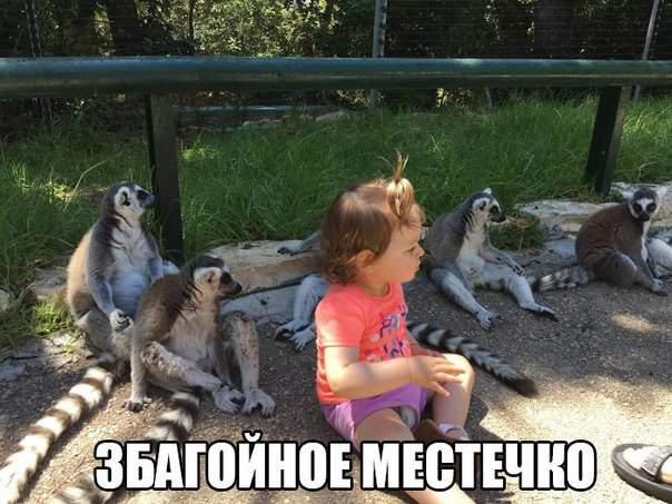 Не я понимаю, но третий раз за неделю! Девочка не устала????