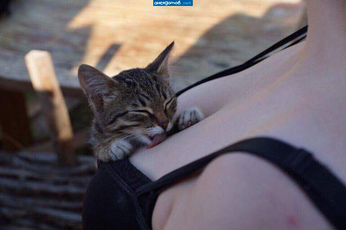 Замуж тетеньке надо