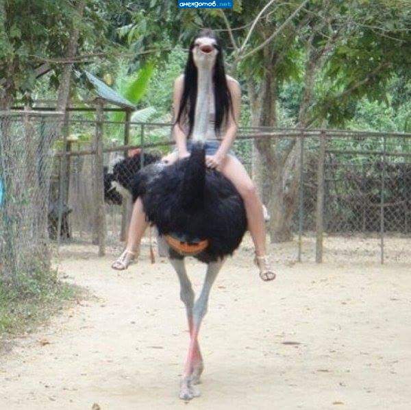 Теща? Это ты?