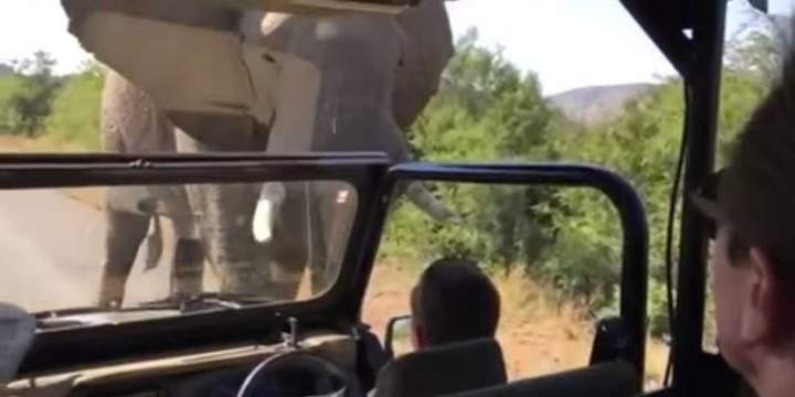 Мозг у тебя не по той стороне едИт, остолоп!