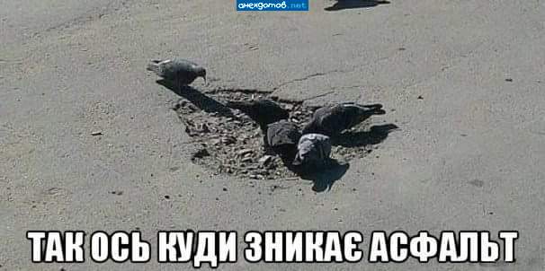 Голуби мира принимают участие в антироссийских санкциях...