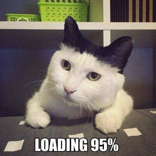 Мои 5% очень внимательно тебя слушают.