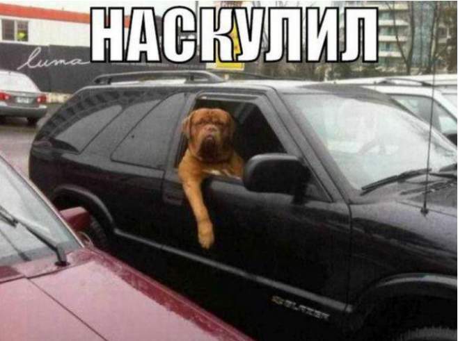 Говорят,что власть портит..,что человек теряет свое лицо...