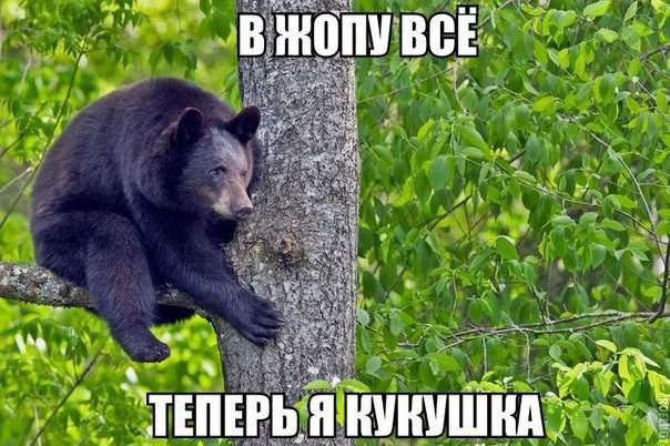 Самая смешная надпись - на картинке))