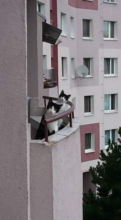 -Оставь покурить!