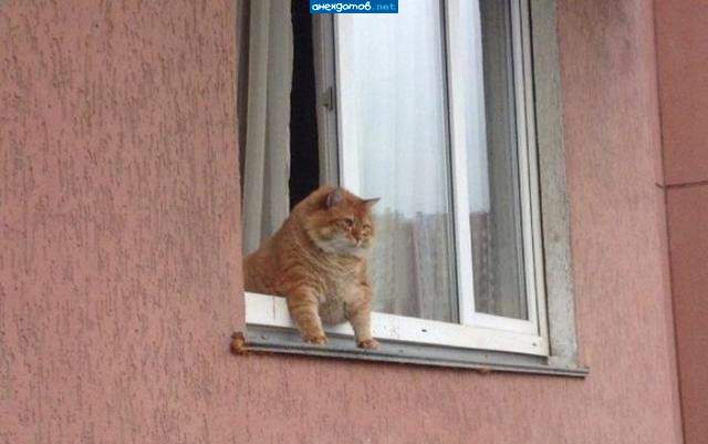 Гулять Охота!! Жаль,что ногами земли не достаю....