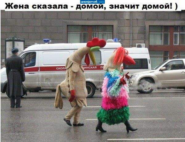 курица: -Лучше бы в курятнике остались!