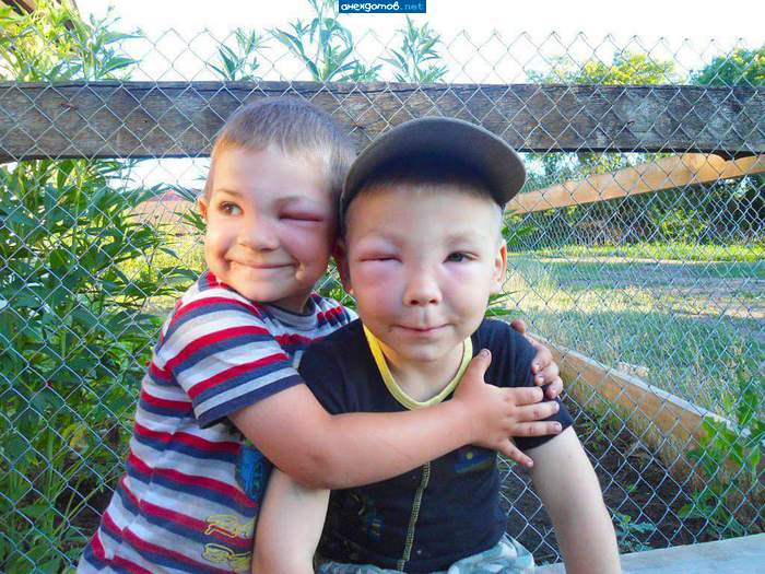 хорошо у деда на пасеке!!