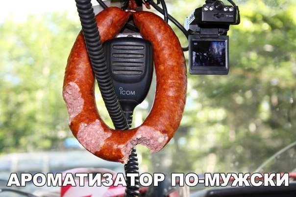 Судя по укусам - дети перед школой тоже не завтракали!!!