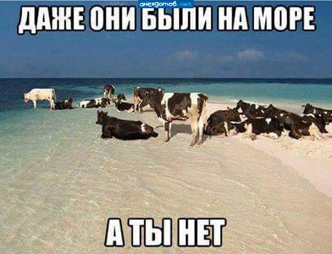 Настоящий я мужик- тёлок вывез в Геленджик...