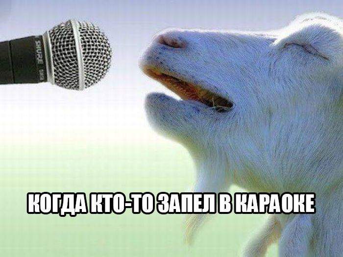 И зачем милого козлика с российской попсой и евровидением сравнивать?