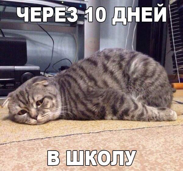 а что поделать,сынок,учиться надо!