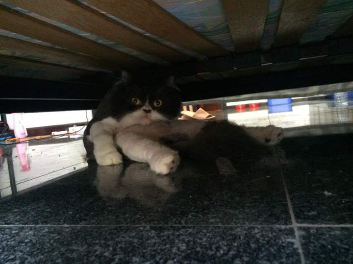 Блин, ну никакого личного пространства... Тебе чо тут надо?