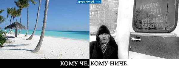 с@ка, правда нашей несправедливой жизни