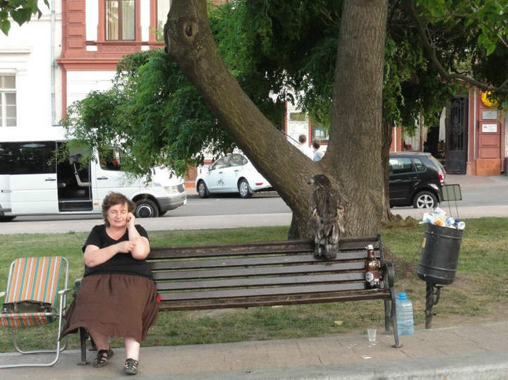 Алло,полиция,тут птичка пьяная матюгается...