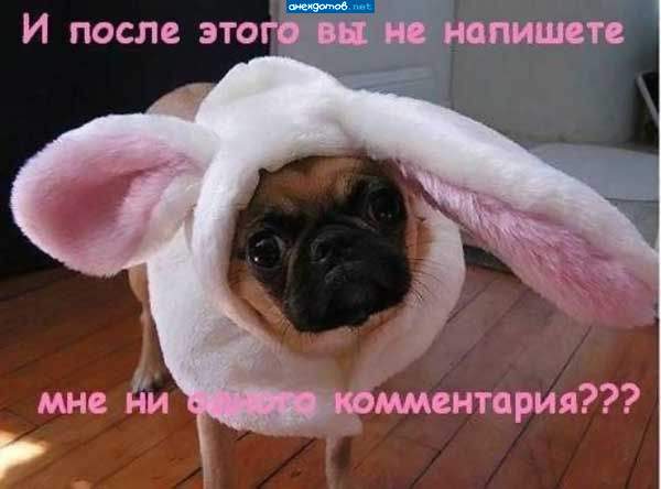 твой хозяин идиот