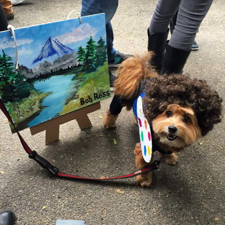 не Bob Ross, а Bar Boss