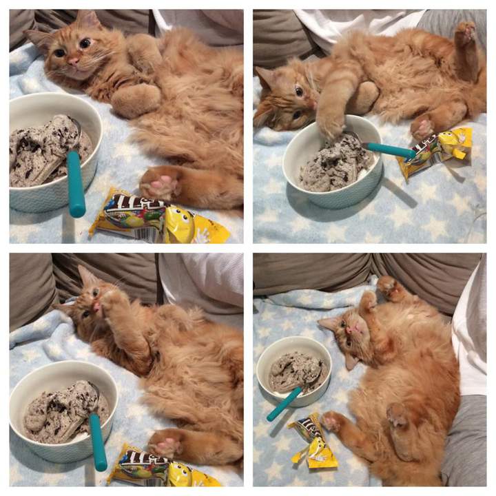 А покормить уже и некому??!!