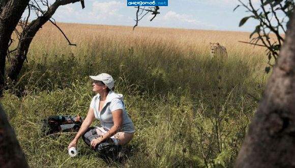 Села попИсать. Щас заодно и покакает.