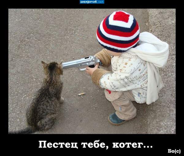Тренируйся вон...на кошках