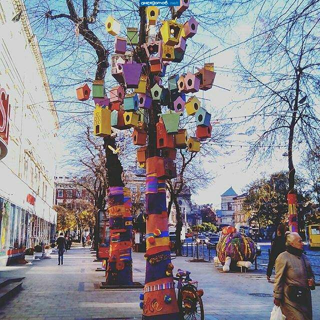 Скворешенбург.