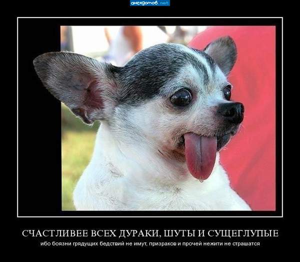 Вот это сиськи!!!!!!!!!!!!!!!!!!!!