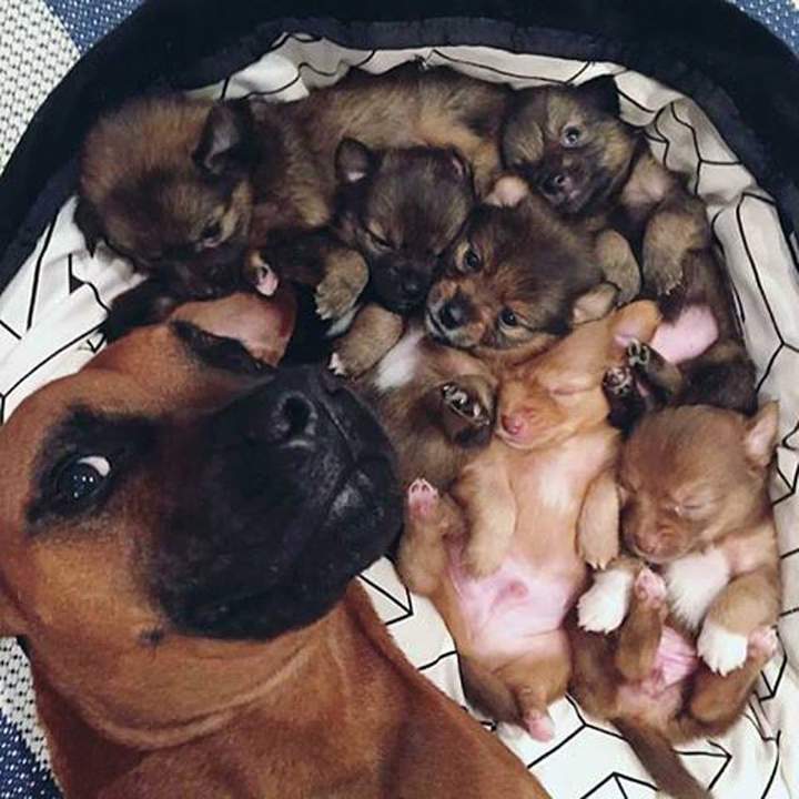 хвастается!!!