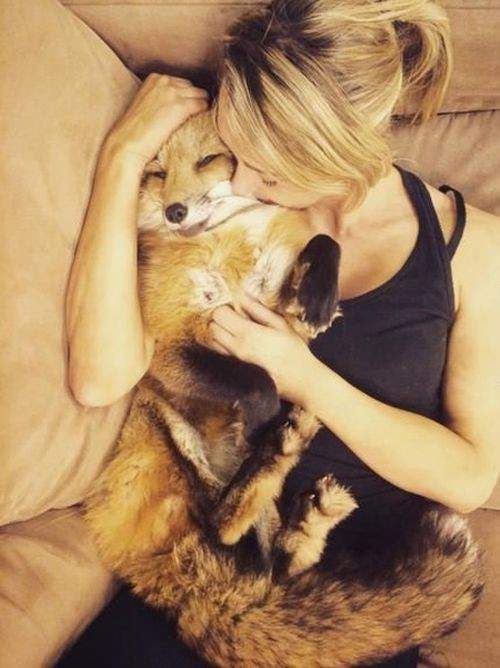 Любимый Firefox )