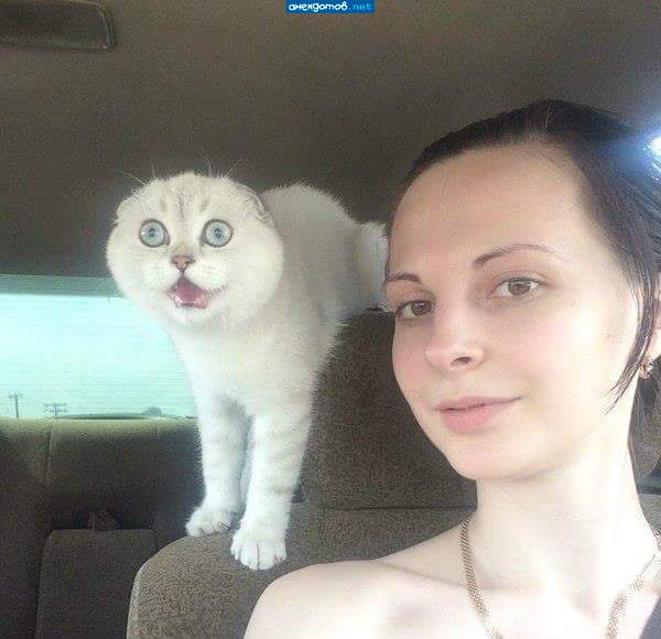 Дура, отлипни от камеры, КАМАЗ!!!!!!