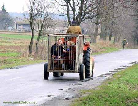 Бешеные бабки