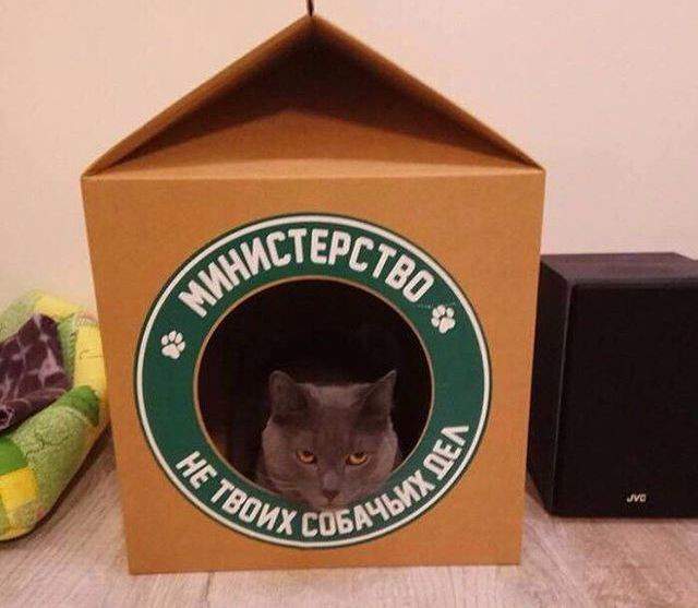 Министр)