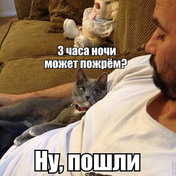 и я с вамииииииииииииииииии