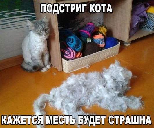 Голый и сердитый.
