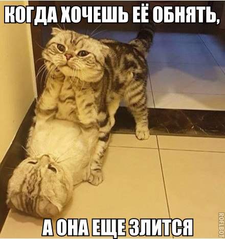 Она делает вид что сопротивляется