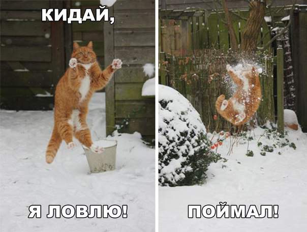 Кидай,Петрович!....сволочь ты, Петрович....