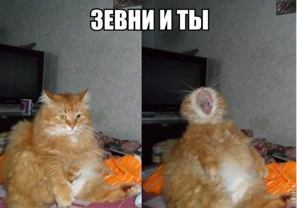 Лаваааанда.....