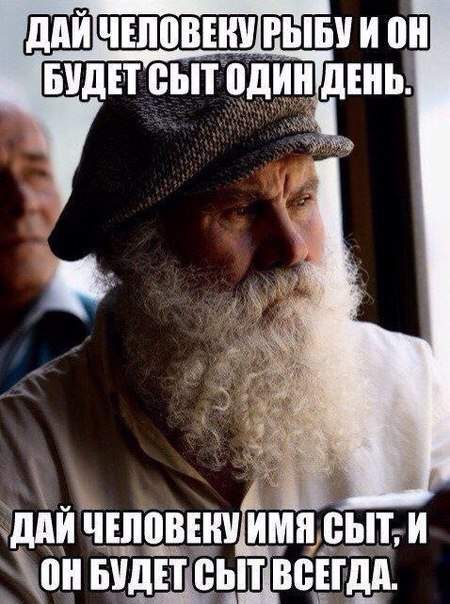 Модер, ты совсем даун?