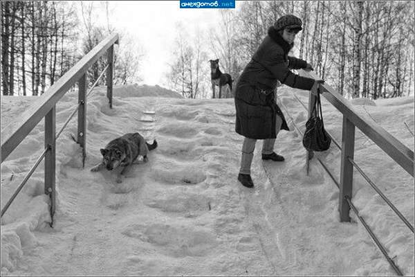 - Хозяйка, когти выпускай!