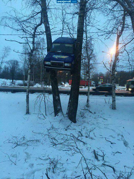Знал что у машины есть душа, но чтоб собак боялась